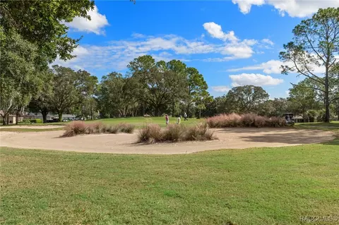 Other - 409 E Dakota Ct, Hernando, FL 34442 photo 10 of 24