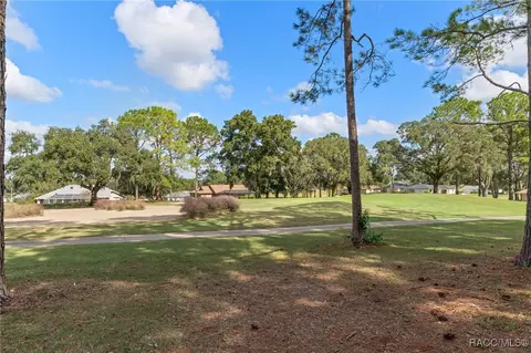 Exterior - 409 E Dakota Ct, Hernando, FL 34442 photo 14 of 21