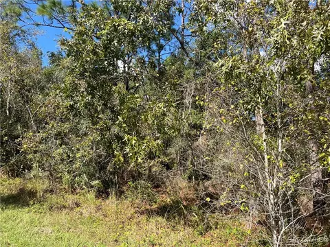 3249 E Murray St, Inverness, FL 34453