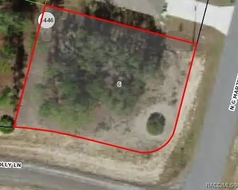 11128 N G Martinelli Blvd, Citrus Springs, FL 34433