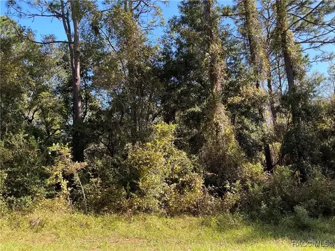 8515 N Sarazen Dr, Citrus Springs, FL 34434