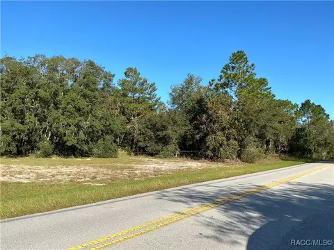 3234 N Annapolis Ave, Hernando, FL 34442 photo 3