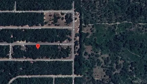1700 E Artesian Ln, Dunnellon, FL 34434 photo 3