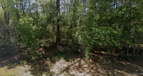 1700 E Artesian Ln, Dunnellon, FL 34434 photo 2