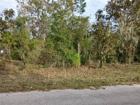 11755 N Belluzzi Ter, Dunnellon, FL 34433