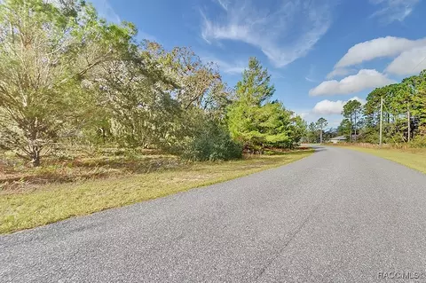 2520 W Riley Dr, Citrus Springs, FL 34434