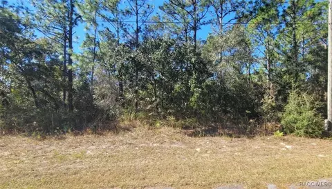 8622 N Empire Ave, Citrus Springs, FL 34433