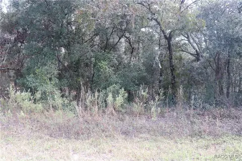 00 SW Hillcrest Ave, Dunnellon, FL 34431