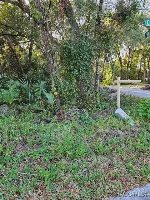 205 W Inverness Blvd, Inverness, FL 34452