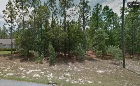 7925 N Tiny Lily Dr, Citrus Springs, FL 34434