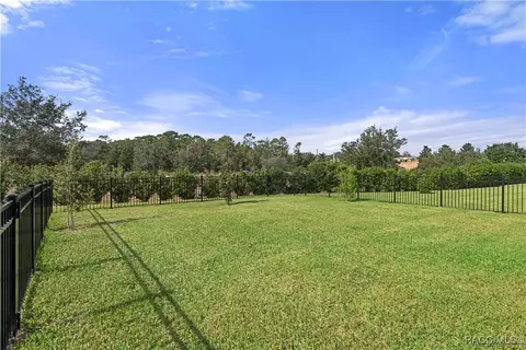 1904 N Ember Path, Hernando, FL 34442 photo 35