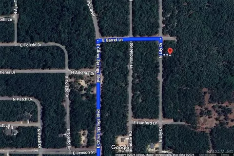 9297 N Lily Dr, Citrus Springs, FL 34434