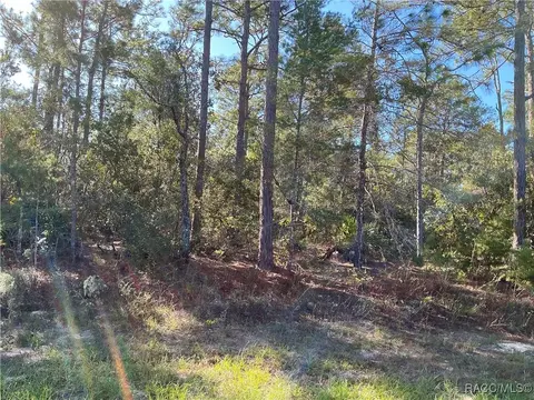 4276 W Abeline Dr, Citrus Springs, FL 34433