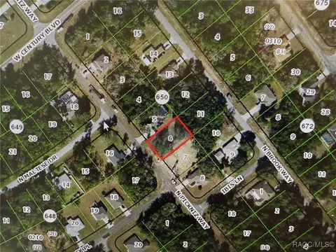 8191 N Pickinz Way, Citrus Springs, FL 34433