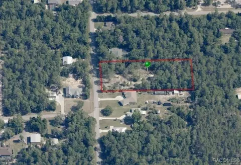 3503 N Tyrone Ave, Hernando, FL 34442 photo 3