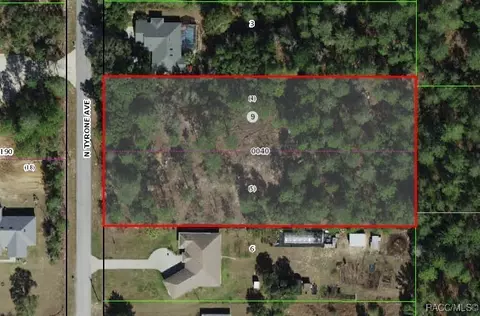 3503 N Tyrone Ave, Hernando, FL 34442 photo 2