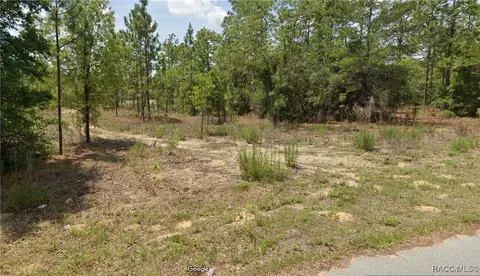 2854 W Xenox Dr, Citrus Springs, FL 34433