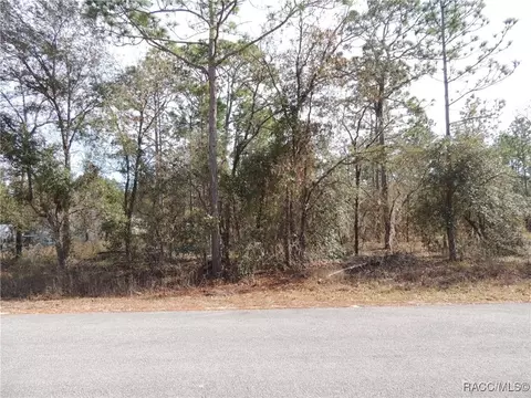 3995 W Fireside Ln, Citrus Springs, FL 34433