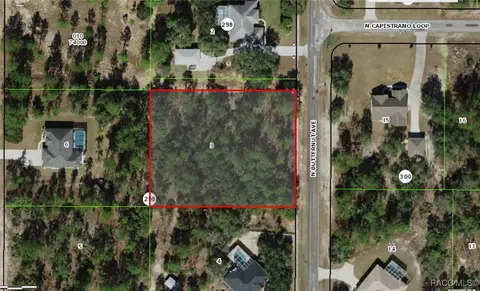 4336 N Butternut Dr, Beverly Hills, FL 34465