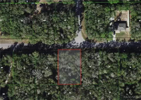 8236 W Catrina Ln, Crystal River, FL 34428