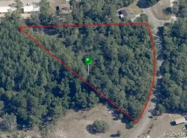 6154 S Lewdingar Dr, Homosassa, FL 34446