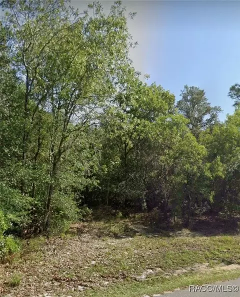 863 E Cermak St, Hernando, FL 34442 photo 2