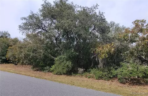 863 E Cermak St, Hernando, FL 34442 photo 8