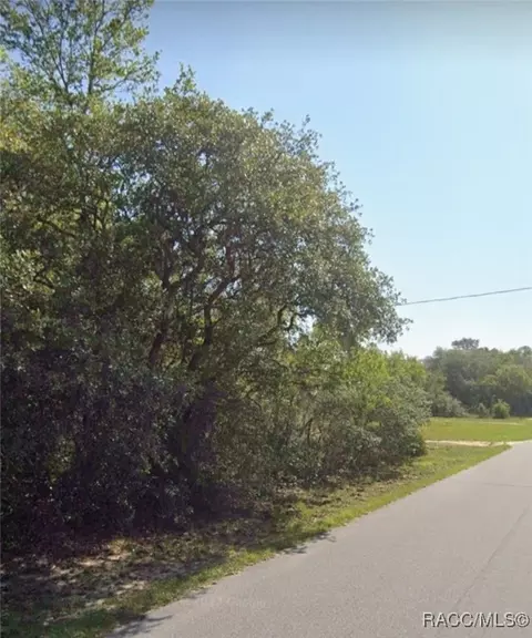 863 E Cermak St, Hernando, FL 34442 photo 3