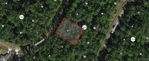 1448 E Carson Rd, Dunnellon, FL 34434