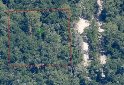 3962 S Pelican Ave, Inverness, FL 34450