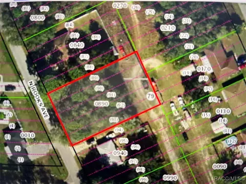 155 N Rooks Ave, Inverness, FL 34453