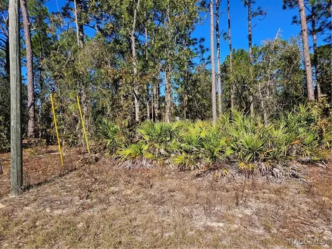1915 W Wavecrest Dr, Dunnellon, FL 34434