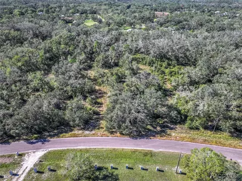 1 Ponderosa Trail Trl, Wimauma, FL 33598