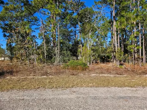 1919 W Wavecrest Dr, Dunnellon, FL 34434