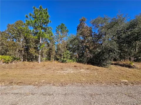 6675 N Underwood Dr, Dunnellon, FL 34434