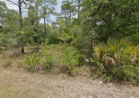 11787 W Flaxen Dr, Crystal River, FL 34428
