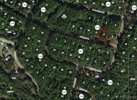 1389 E Urmey Pl, Dunnellon, FL 34434