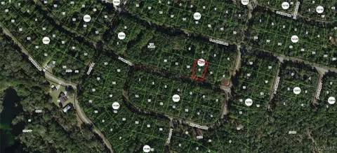 1367 E Urmey Pl, Citrus Springs, FL 34434