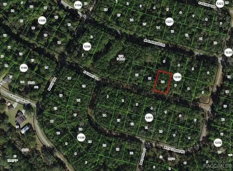1345 E Urmey Pl, Citrus Springs, FL 34434