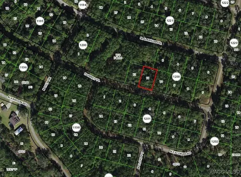 1327 E Urmey Pl, Citrus Springs, FL 34434