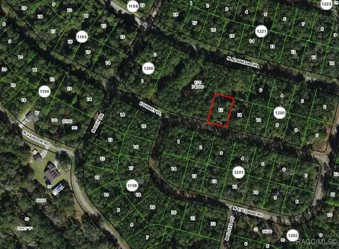 1311 E Urmey Pl, Citrus Springs, FL 34434