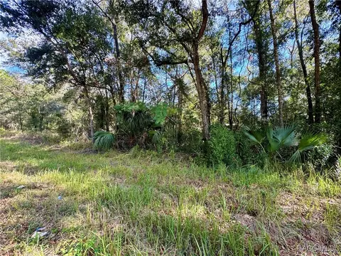 719 S Arlene Ave, Inverness, FL 34453
