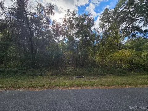 893 E Abend Dr, Citrus Springs, FL 34434