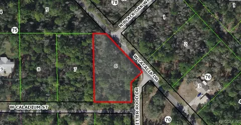 11653 W Caladium St, Crystal River, FL 34428