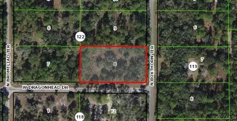 9216 N Boxthorn Ter, Crystal River, FL 34428