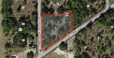 11641 N Captiva Ter, Dunnellon, FL 34433