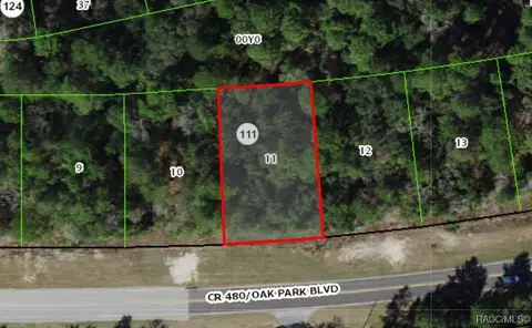 6613 W Oak Park Blvd, Homosassa, FL 34446