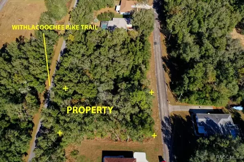 10548 N Ocean Dr, Citrus Springs, FL 34434