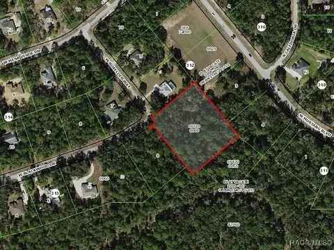 3715 N Boxelder Way, Beverly Hills, FL 34465