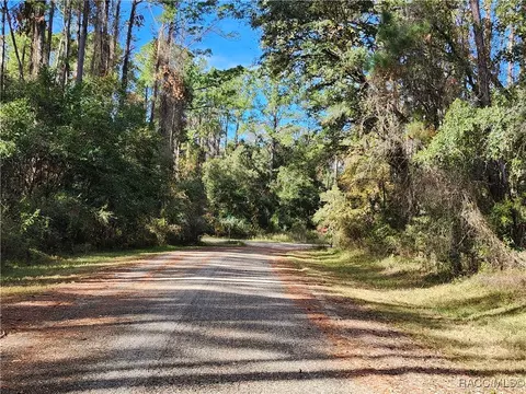 1346 E Derby Dr, Citrus Springs, FL 34434